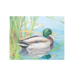 JVD Animal Target Face Duck