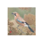 JVD Animal Target Face Jay