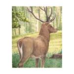 JVD Animal Target Face Large Deer