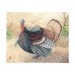 JVD Animal Target Face Turkey