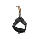 Scott Archery Solus Index Release