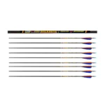 Skylon Backbone Arrows 12 pcs.